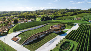 Giusti Wine - Tenuta Sienna